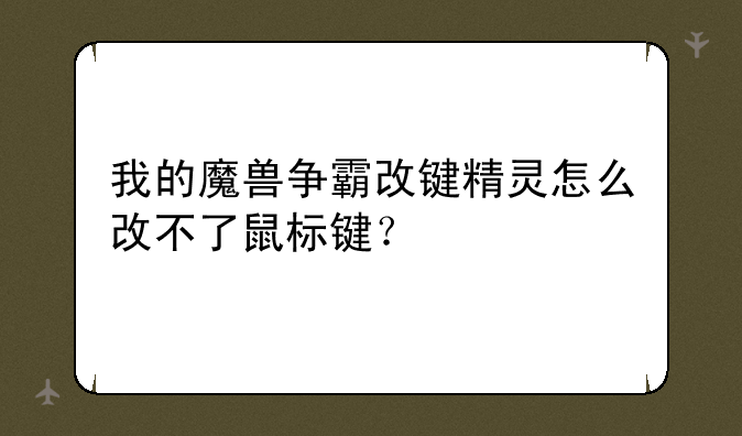 我的魔兽争霸改键精灵怎么改不了鼠标键？