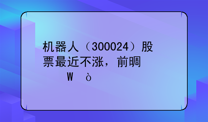 机器人（300024）股票最近不涨，前景如何？