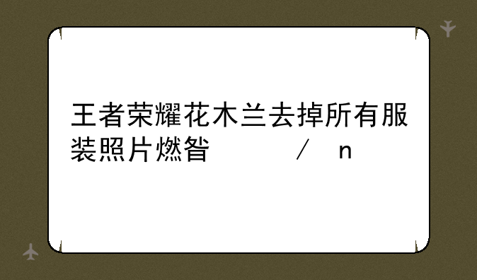 王者荣耀花木兰去掉所有服装照片燃星之曲