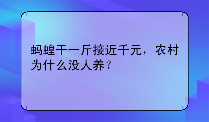 蚂蝗干一斤接近千元，农村为什么没人养？