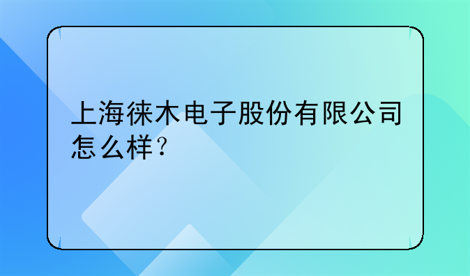 上海徕木电子股份有限公司怎么样？