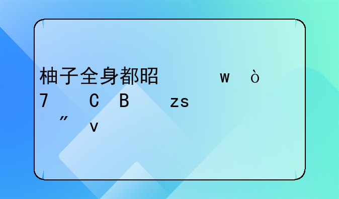 柚子全身都是宝！种子含果胶制面膜