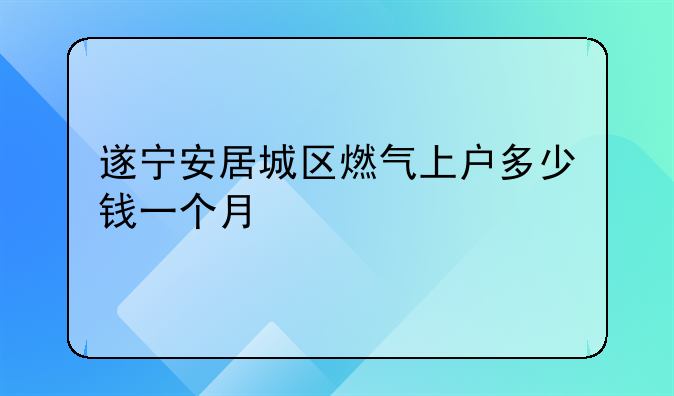 遂宁安居城区燃气上户多少钱一个月