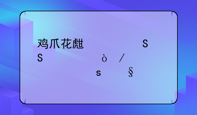 鸡爪花生汤——养血强筋健骨养颜嫩肤