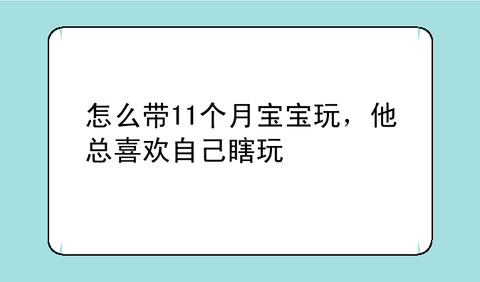 怎么带11个月宝宝玩，他总喜欢自己瞎玩