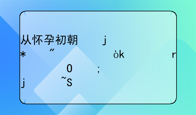 从怀孕初期的波动到平稳：一场身体与心灵的温柔过渡