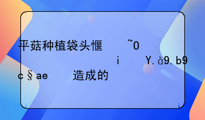 平菇种植袋头感染绿霉，是什么原因造成的？