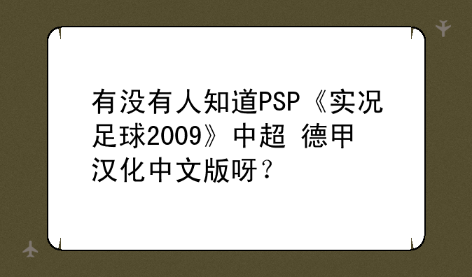 有没有人知道PSP《实况足球2009》中超+德甲汉化中文版呀？