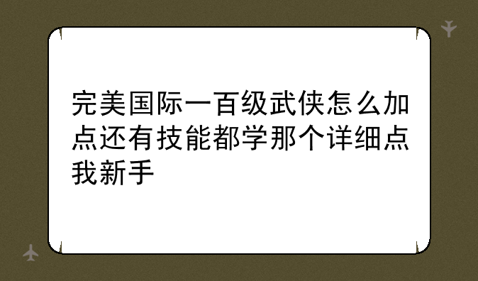 完美国际一百级武侠怎么加点还有技能都学那个详细点我新手