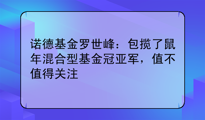 诺德基金罗世峰：包揽了鼠年混合型基金冠亚军，值不值得关注