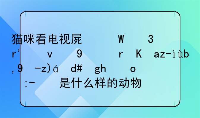 猫咪看电视屏幕里有鸟飞过,便跳到电视后面找,这是什么样的动物行为