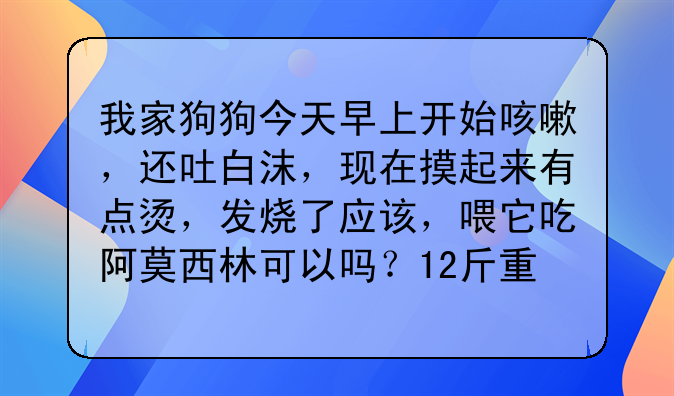 我家狗狗今天早上开始咳嗽，还吐白沫，现在摸起来有点烫，发烧了应该，喂它吃阿莫西林可以吗？12斤重