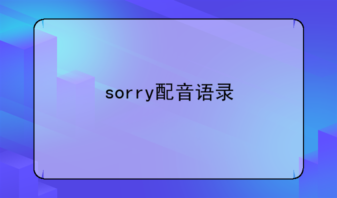 sorry配音语录