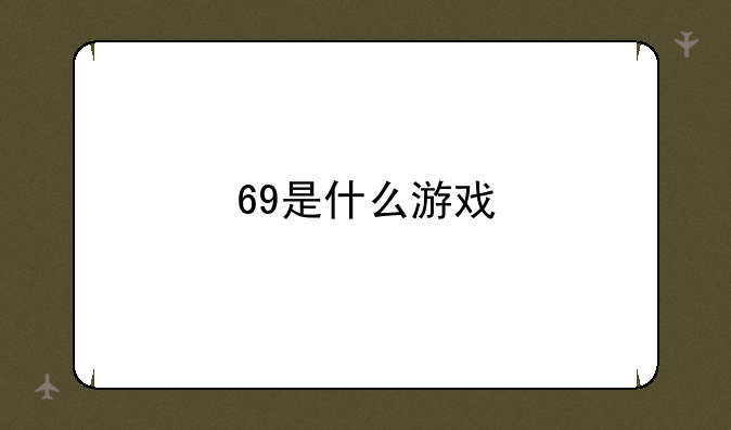 69是什么游戏