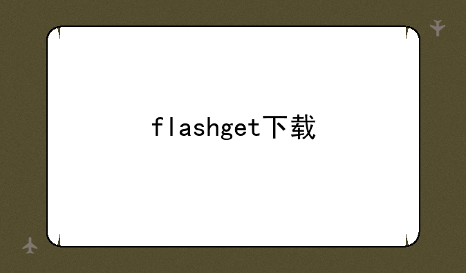 flashget下载