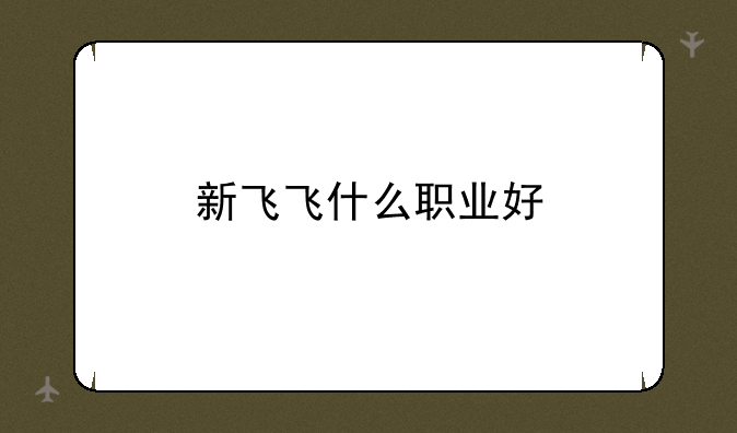 新飞飞什么职业好