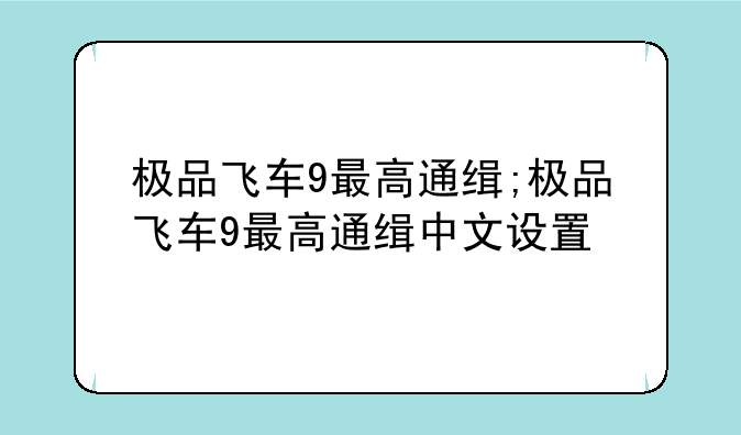 极品飞车9最高通缉;极品飞车9最高通缉中文设置