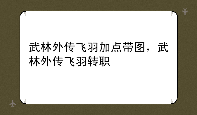武林外传飞羽加点带图，武林外传飞羽转职