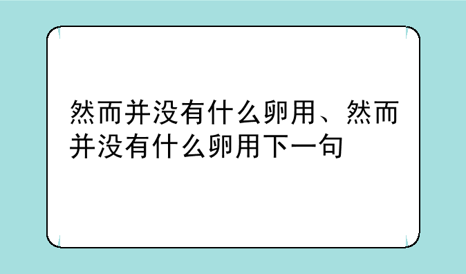 然而并没有什么卵用、然而并没有什么卵用下一句