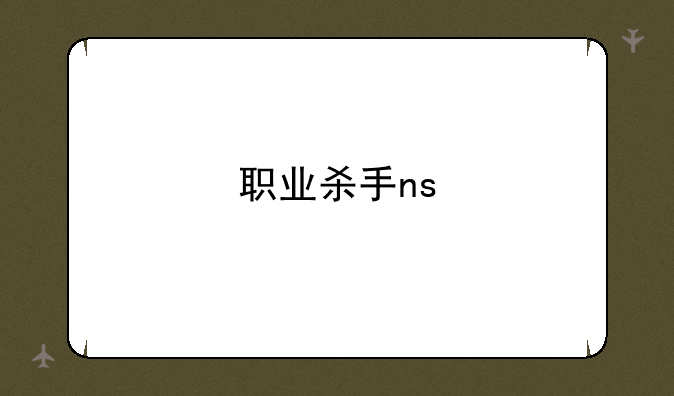 职业杀手ns