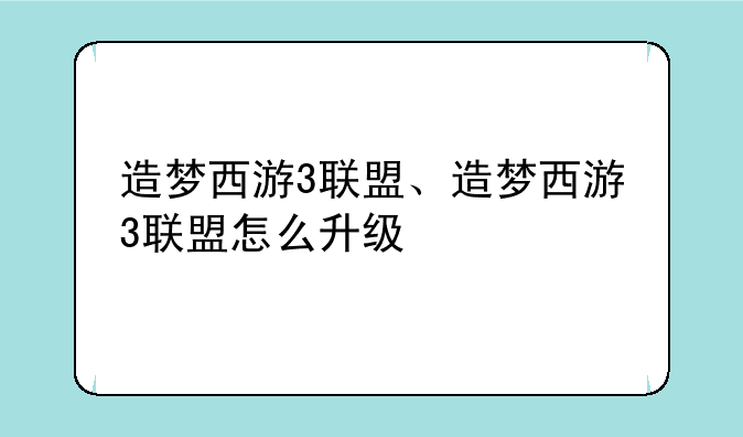 造梦西游3联盟、造梦西游3联盟怎么升级