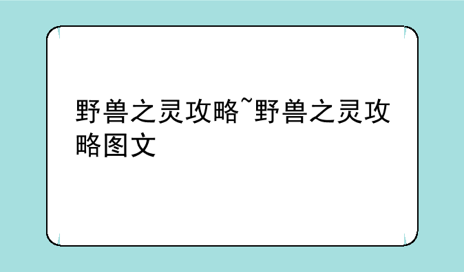 野兽之灵攻略~野兽之灵攻略图文