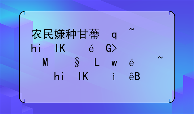 农民嫌种甘蔗麻烦不赚钱，巴西也种甘蔗，为啥能低成本便宜卖